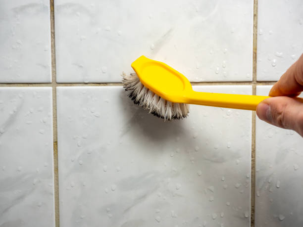 Best Black Mold Removal  in Nashville, GA