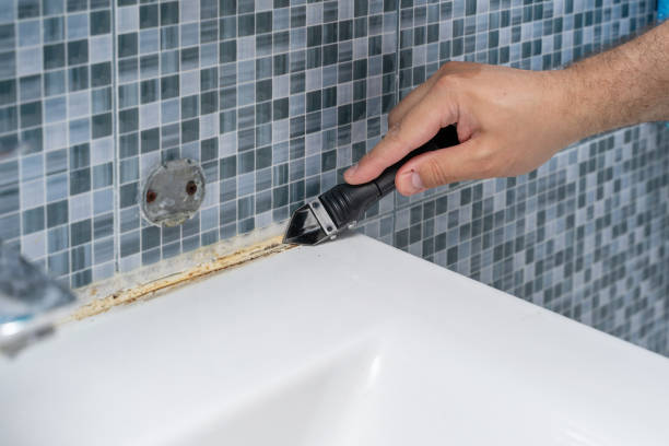 Best Emergency Mold Removal  in Nashville, GA