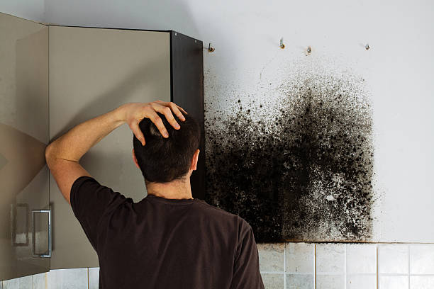 Best Residential Mold Removal  in Nashville, GA